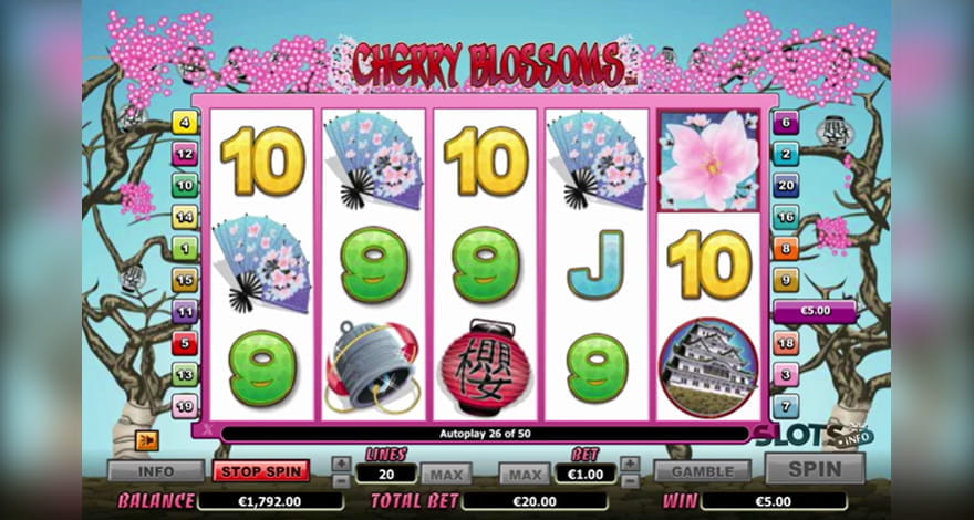 Roll the Dice The Excitement of Daily PG Slots