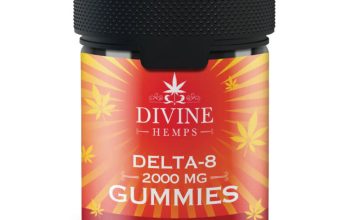 Gourmet Gummies: Savoring the Best Delta 8 Options Available