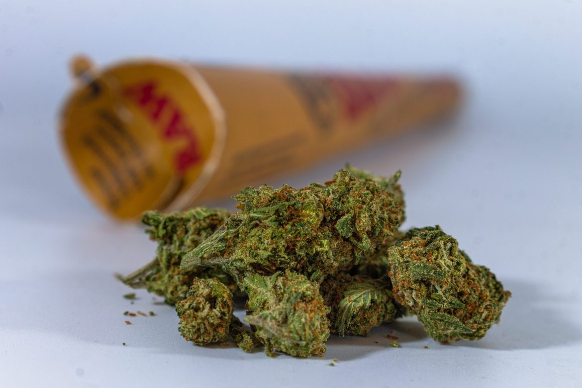 Discover the Best Deals on premium thca flower from Trusted Brands